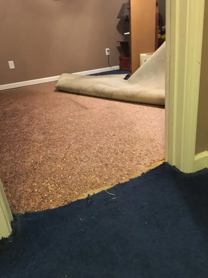 Carpet pad removal revealing water damage during Drying & Dehumidification in Villa Hills