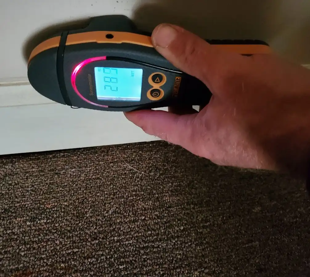 Moisture detection at baseboard during Sewage Cleanup & Sanitation in Villa Hills